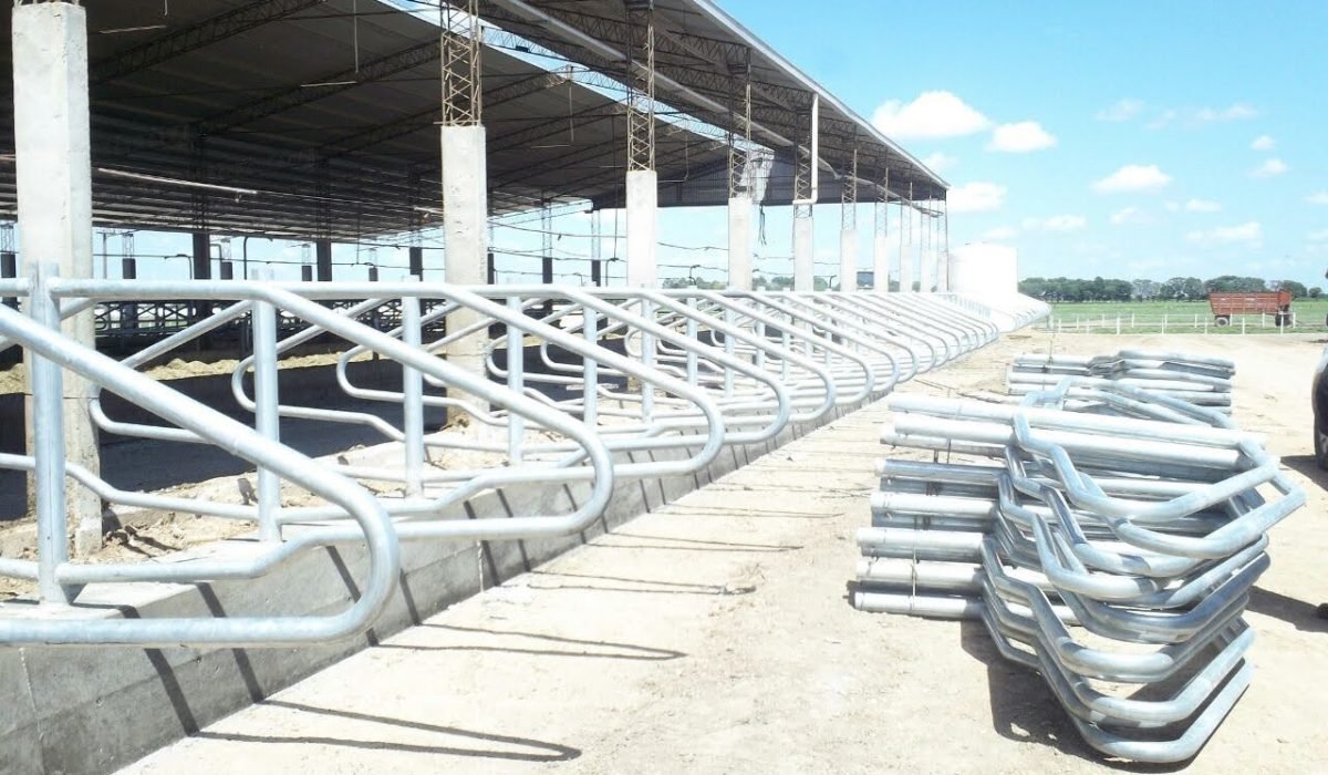 Brotes para tambos tobulados
