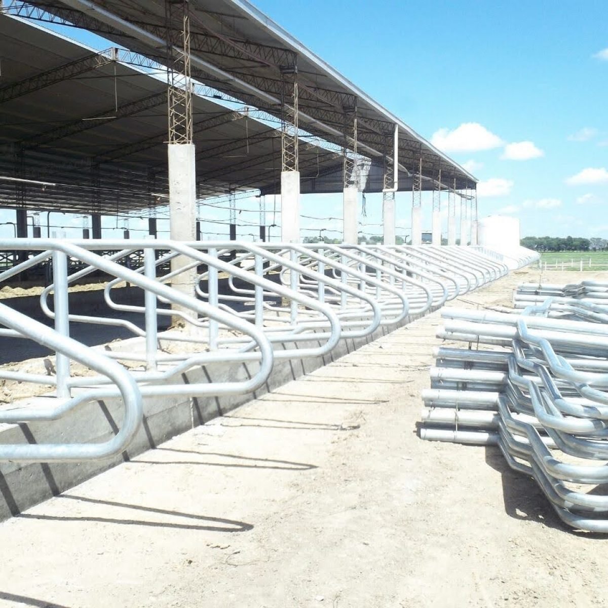 Brotes para tambos tobulados