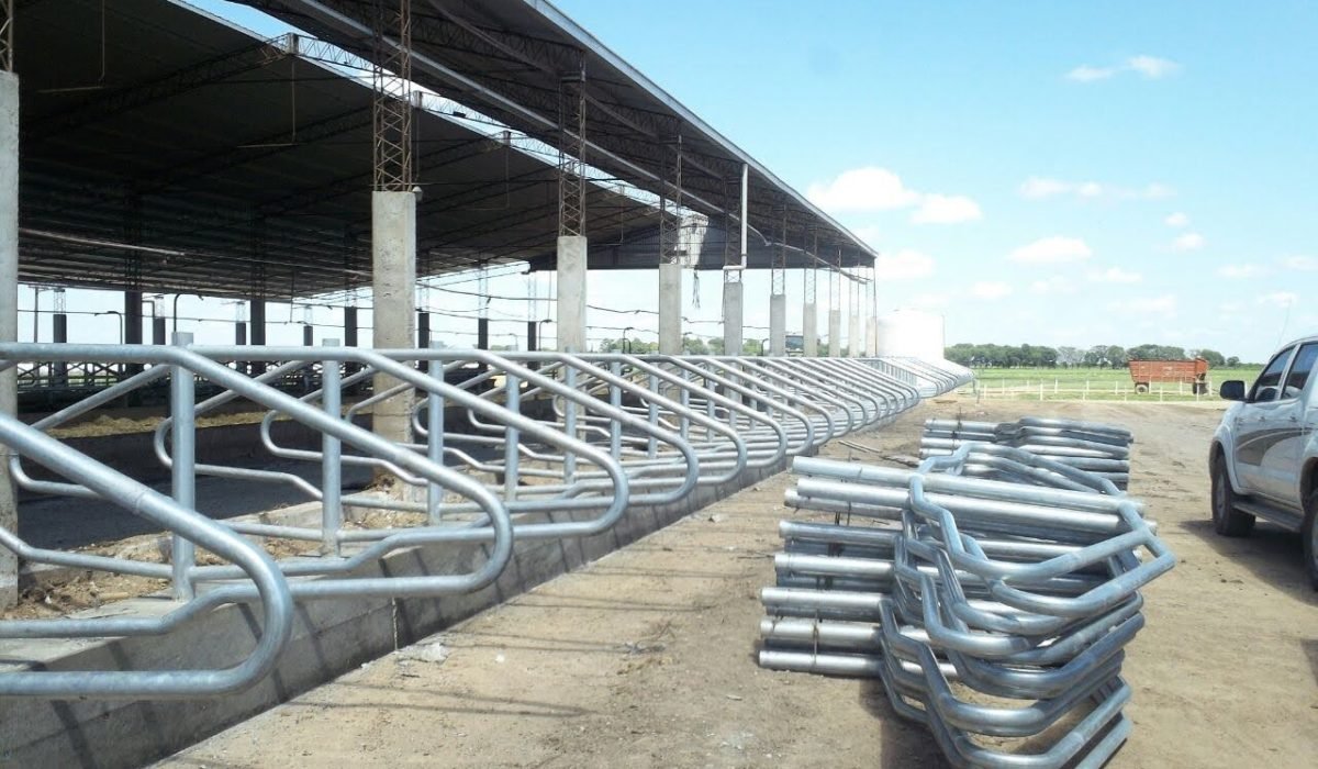 Brotes para tambos tobulados