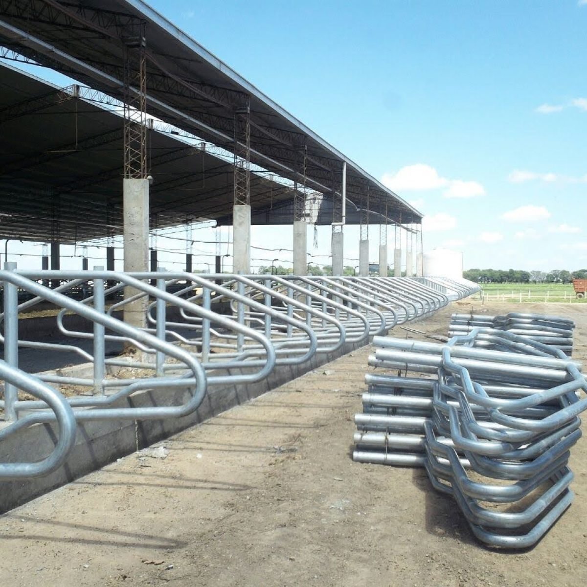 Brotes para tambos tobulados